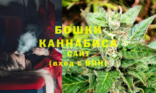 СК Бородино