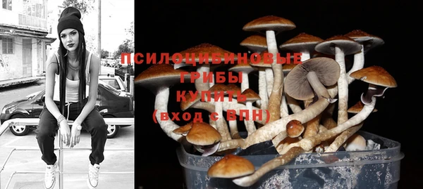 СК Бородино
