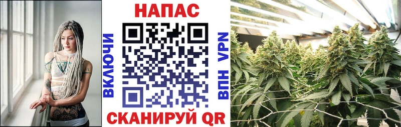 Конопля OG Kush Сретенск